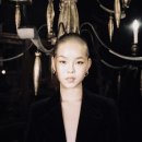 코코나 카카오 검색결과