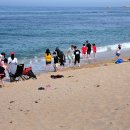 바다정원 이미지