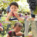 만세농장 이미지