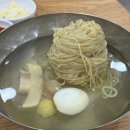 강남-127 | [서울/강남구] 먹행일기 Day127. 진미평양냉면 내돈내산 후기