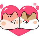 신일약국 이미지