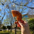 남악초등학교 | 목포 남악 빵집 소금빵 초코바게트 맛집 소프트앤텐더 포장 후기