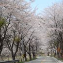 거창-북상-4 이미지