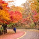 현대공영(주)
