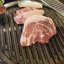 도야진가