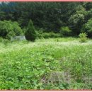 북면사무소 (2층) 이미지