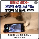 양양군 서면 풋살구장 | 가을아 가지마봐 할 말이 있