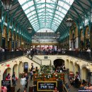 I Have a Dream 이미지