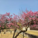 순천자연휴양림 이미지