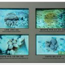 노변동 사직단 이미지