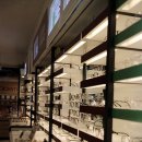 다비치안경부산대점 이미지