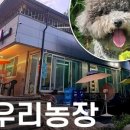 둥이농장 이미지