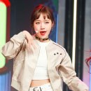 사랑스럽댕 이미지