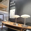 디자인주목가구