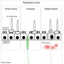 소아약국 이미지