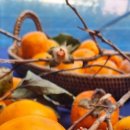 지리산 마리공방 이미지