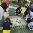 인천나비공원 이미지