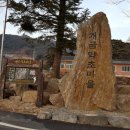 개금약초