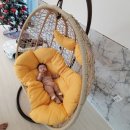 오복지펜션 이미지