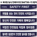 백조문구