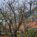 행정사 유정용 사무소 이미지