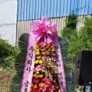 죽안 이미지