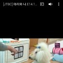 (주)이수영상