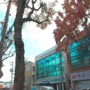 명도세탁소 이미지