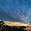 신비의바닷길 특산품 | ep_02. 한 겨울 진도🚌 푸드 체험 투어 후기