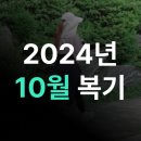 종로-연건-종로-연-445 | [2024년] 10월 복기 - 몸과 마음을 건강하게