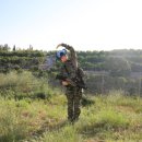 동명합기도 이미지