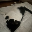 세븐틴코인노래연습장 상봉점 이미지