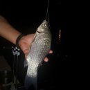 방축낚시터 이미지