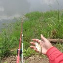 서진레포츠 이미지