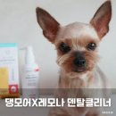 박순석농장 | 강아지치약 댕모어레모나 강아지뿌리는치약 사용후기