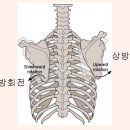더드림PT 이미지