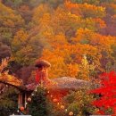 리베볼(liebevoll) 이미지