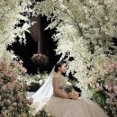 🕊️ Wedding EP.최종 - 대전 선샤인웨딩 그랜드볼룸홀 본식 후기_진짜 마지막