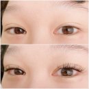 화정속눈썹연장 브로우먼에서 받았어요~