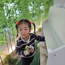 아이사랑놀이터에 다녀왔어요 1 이미지