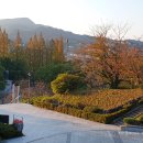 아나사글로벌