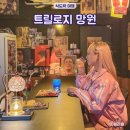 마포구청 술집 서울 혼술바 트릴로지 망원