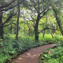 핸즈 인 제주 이미지