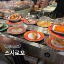 스시로꼬 | 용인 처인구 회전 초밥 맛집_스시로꼬 내돈내산 후기