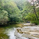 제203차 8월 문경 대야산 용추폭포 이미지