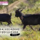 청결농장 이미지