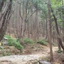 찬물샘약수터 이미지