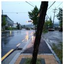 양정동주민센터 이미지