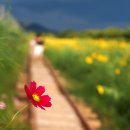 조각구름 이미지