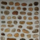 수수꽃담 이미지